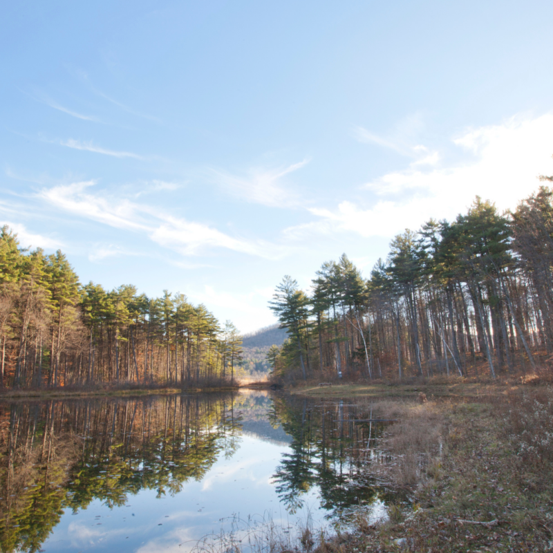 1 acre pond size