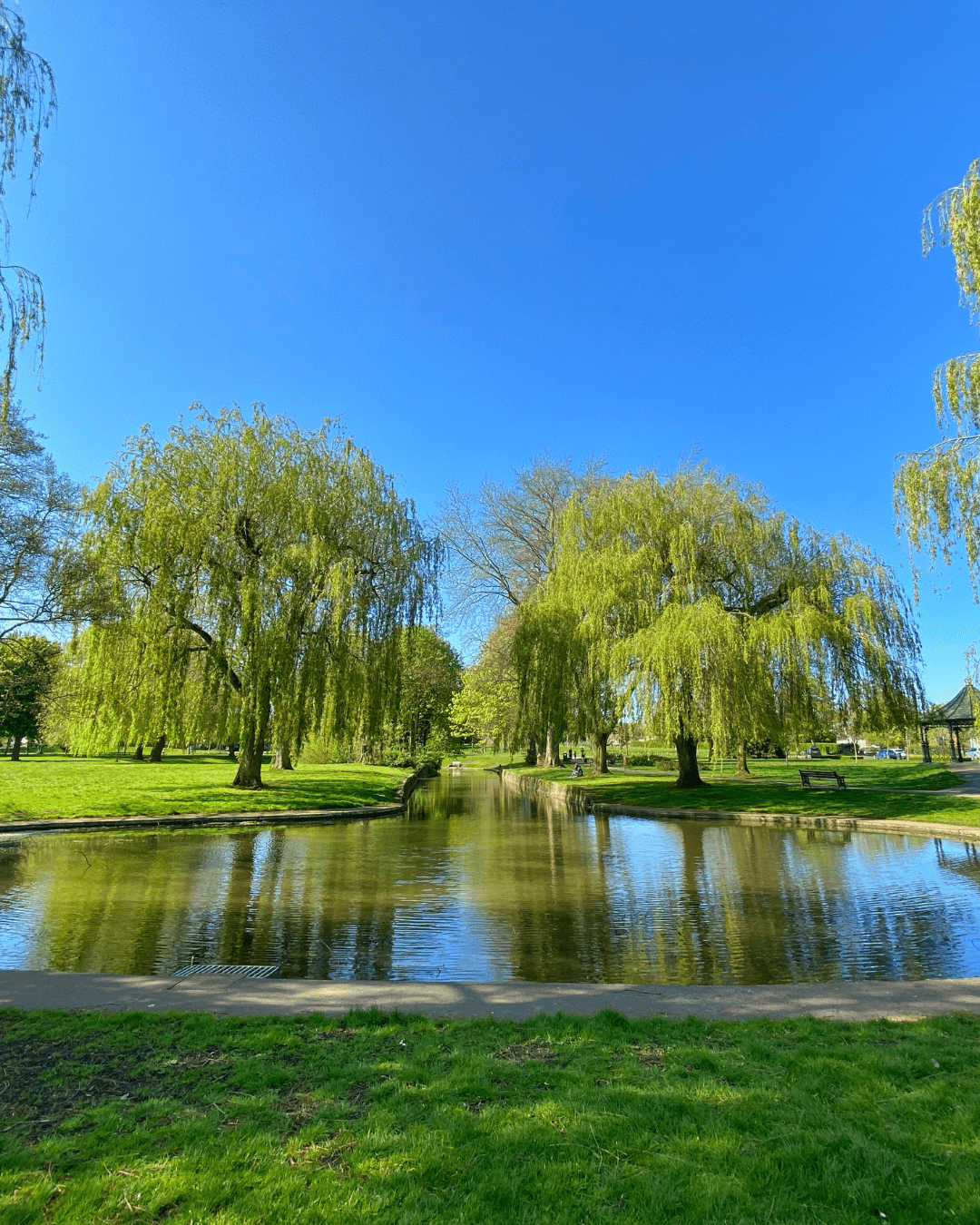 Stagnant Pond Water: Causes, Risks, and How to Restore Healthy Circulation
