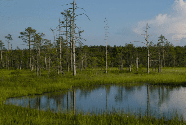 Retention pond flooding issues