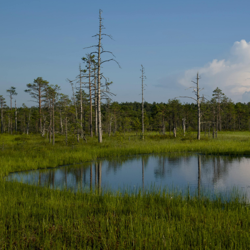 Retention pond flooding issues