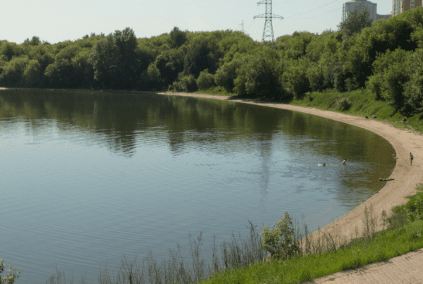 Pond muck buildup