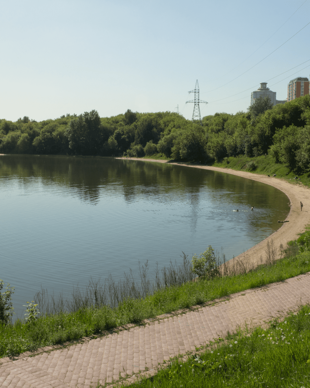 Pond Muck Removal Guide: Restore Depth, Water Quality, and Pond Health