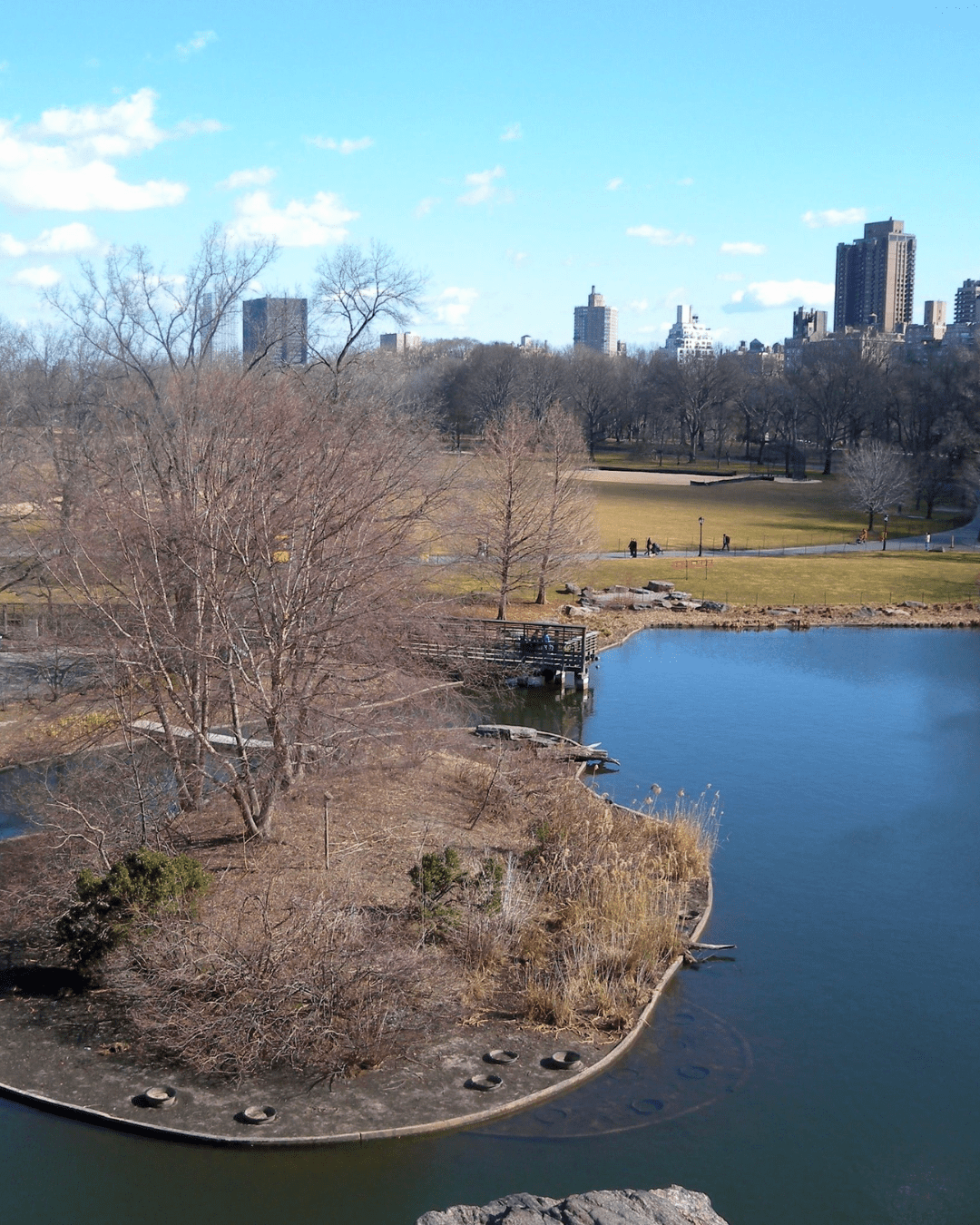 Dallas HOA Pond Maintenance: Keeping Community Ponds Healthy