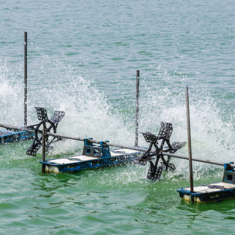 Aeration for Ponds
