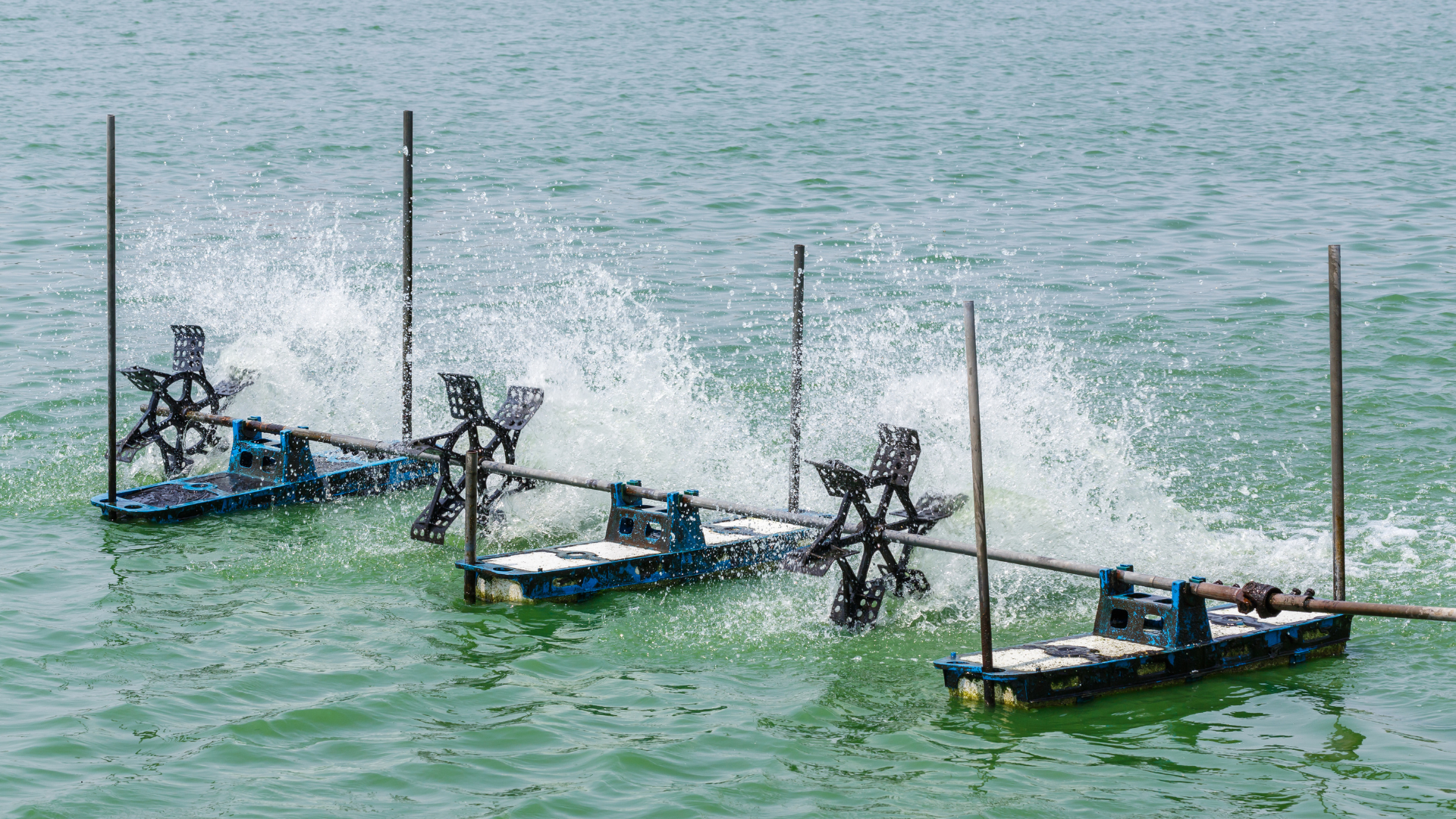 Maximizing Oxygen Levels for a Healthy Ecosystem with Aeration for Ponds