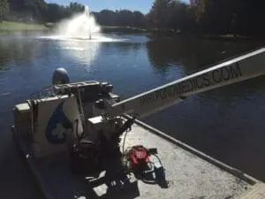 pond fountain maintenance