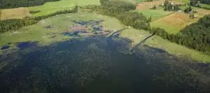 what is a eutrophication