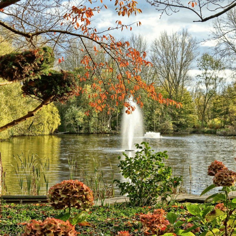 fountain in pond