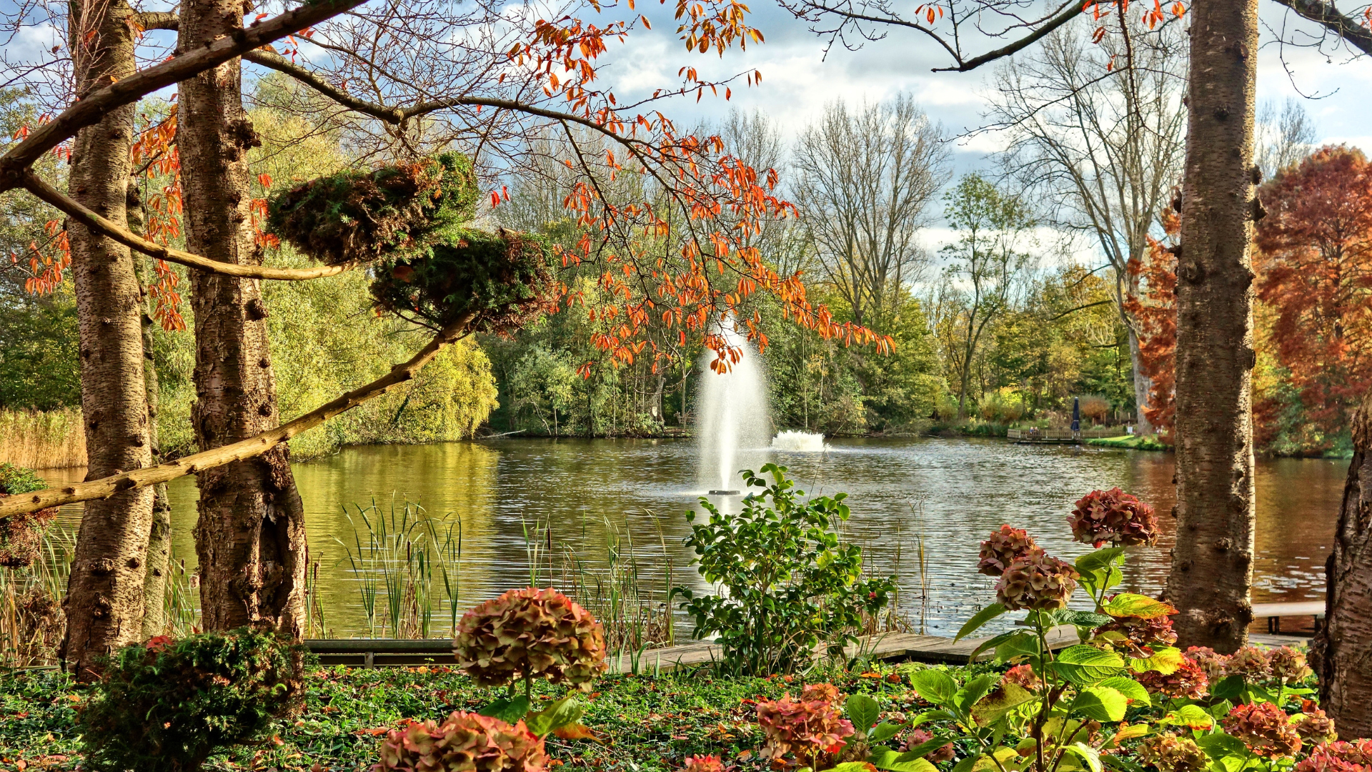 Fountain in Pond: Aeration and Beauty Combined for Your Backyard Oasis