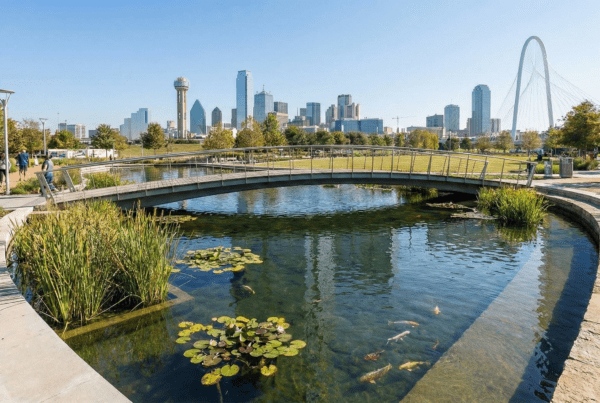 Pond management company DFW