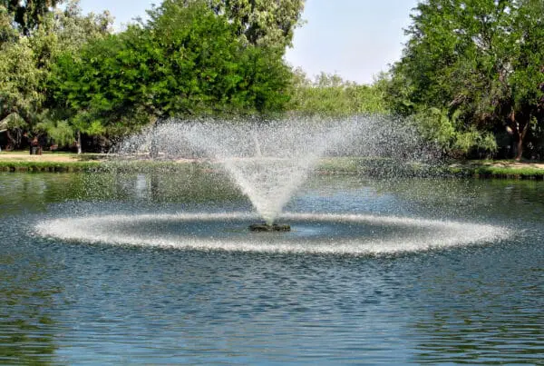 fountain for pond