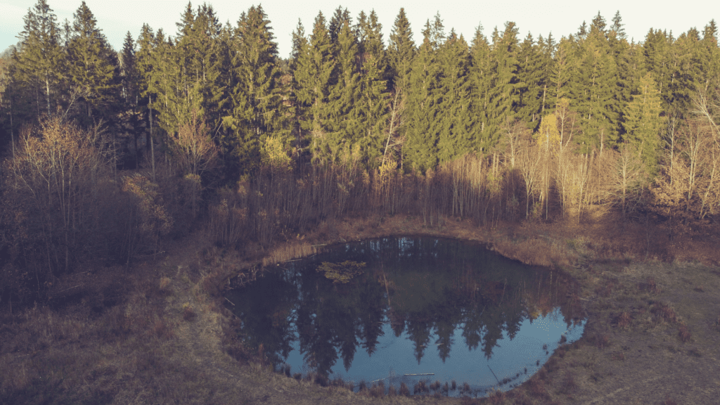 How to Make a Pond Hold Water Naturally