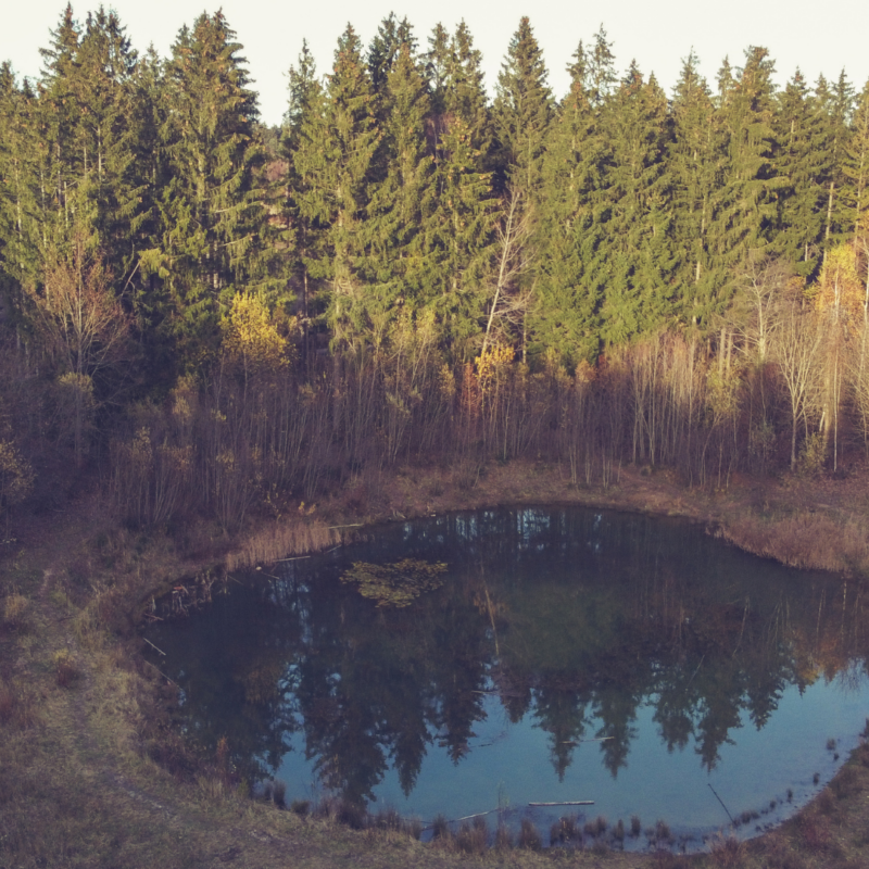 How to Make a Pond Hold Water Naturally