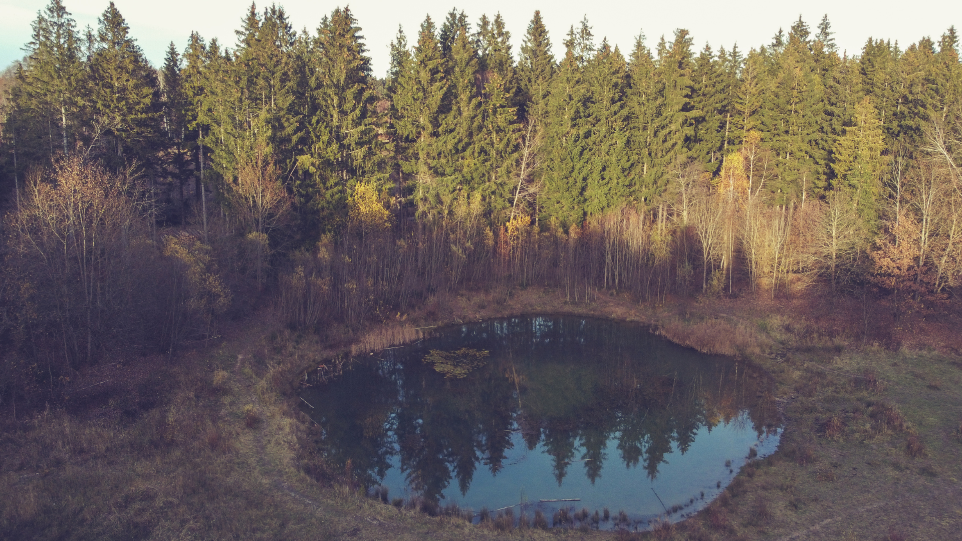 A Guide on How to Make a Pond Hold Water Naturally