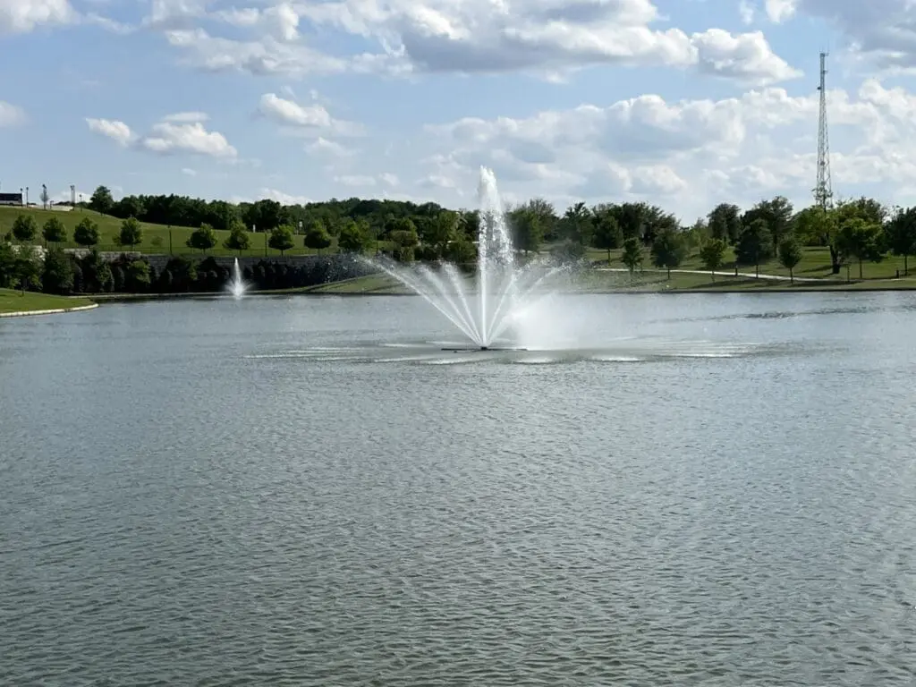 HOA pond complaints DFW