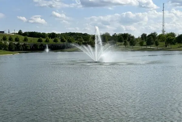 HOA pond complaints DFW