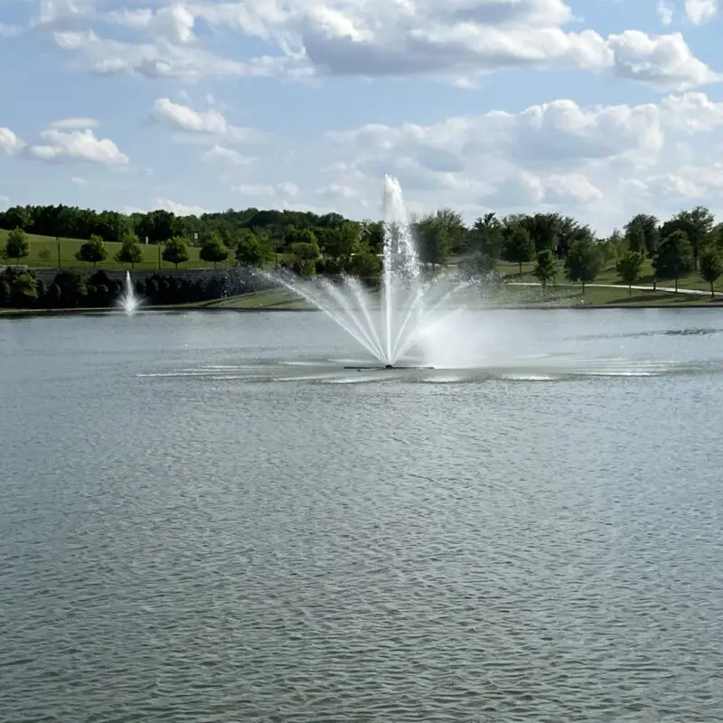 HOA pond complaints DFW