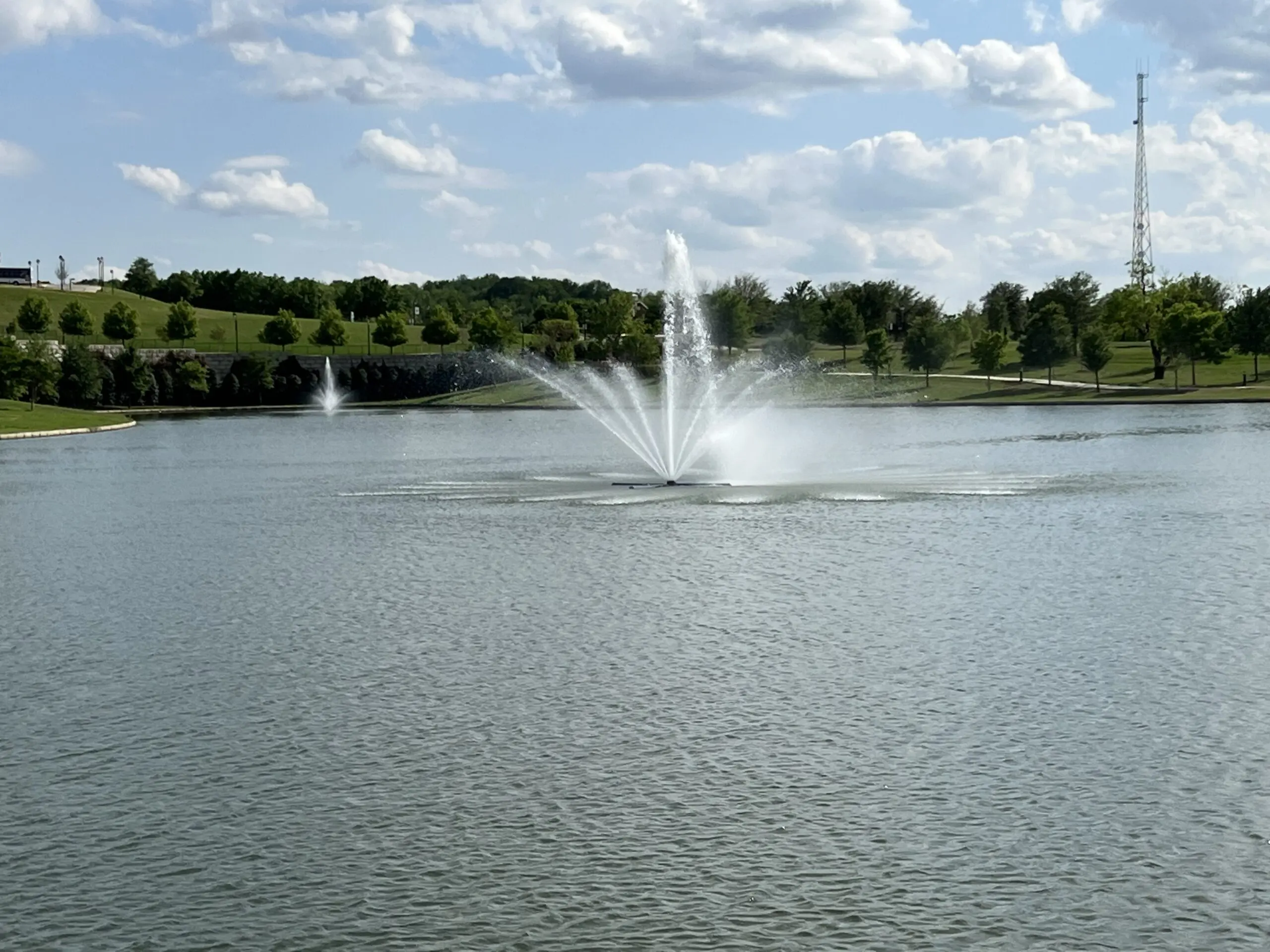 HOA pond complaints DFW