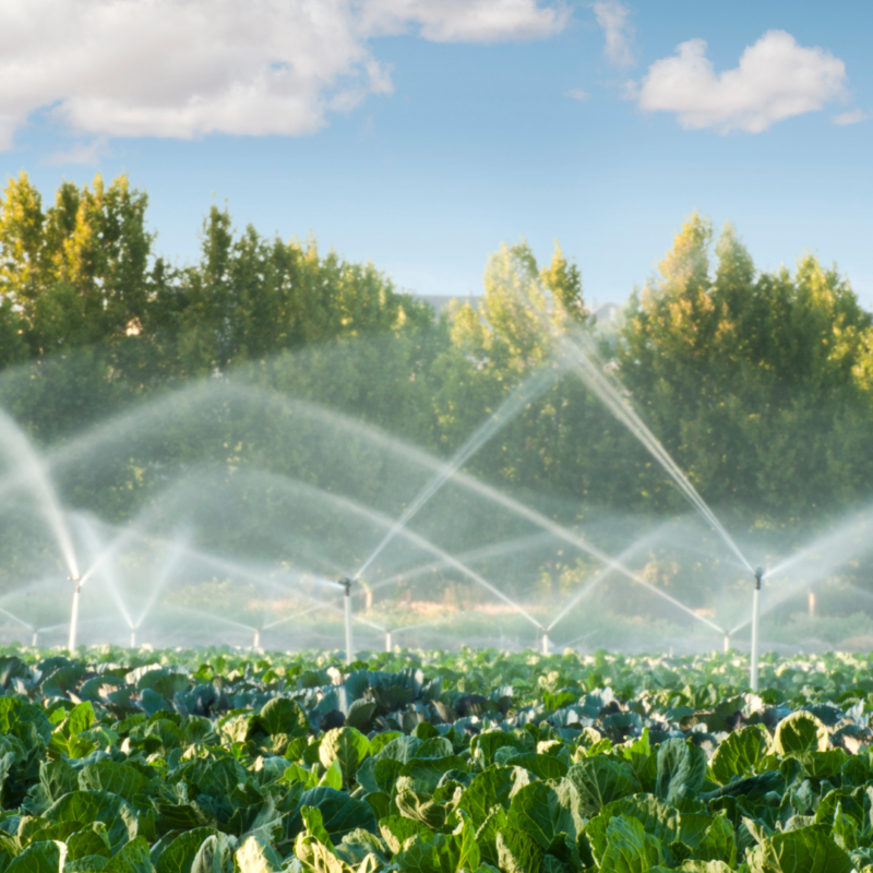 Irrigation Lake Pump