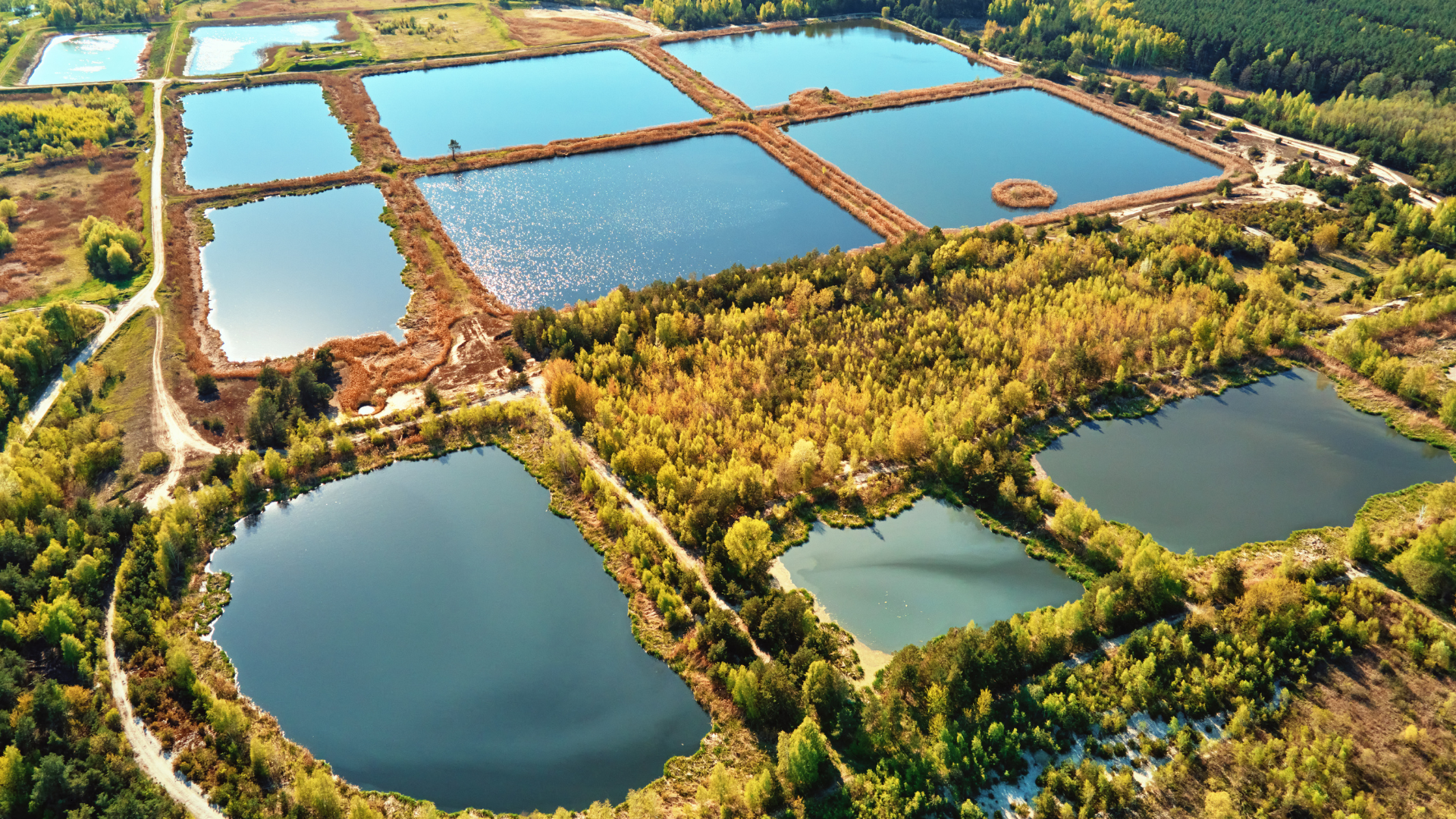 Is Your Retention Pond a Problem Area? PondMedics Offers Expert Solutions