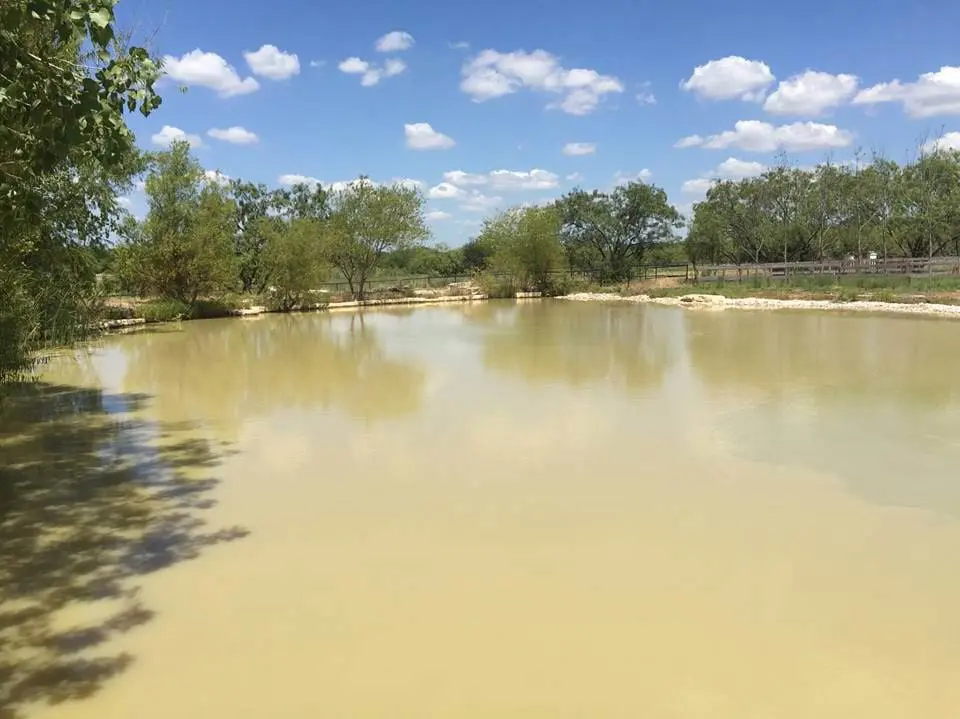 Are Fertilizers Bad For My Pond?