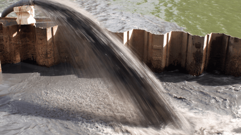 Pond Dredging Near Me