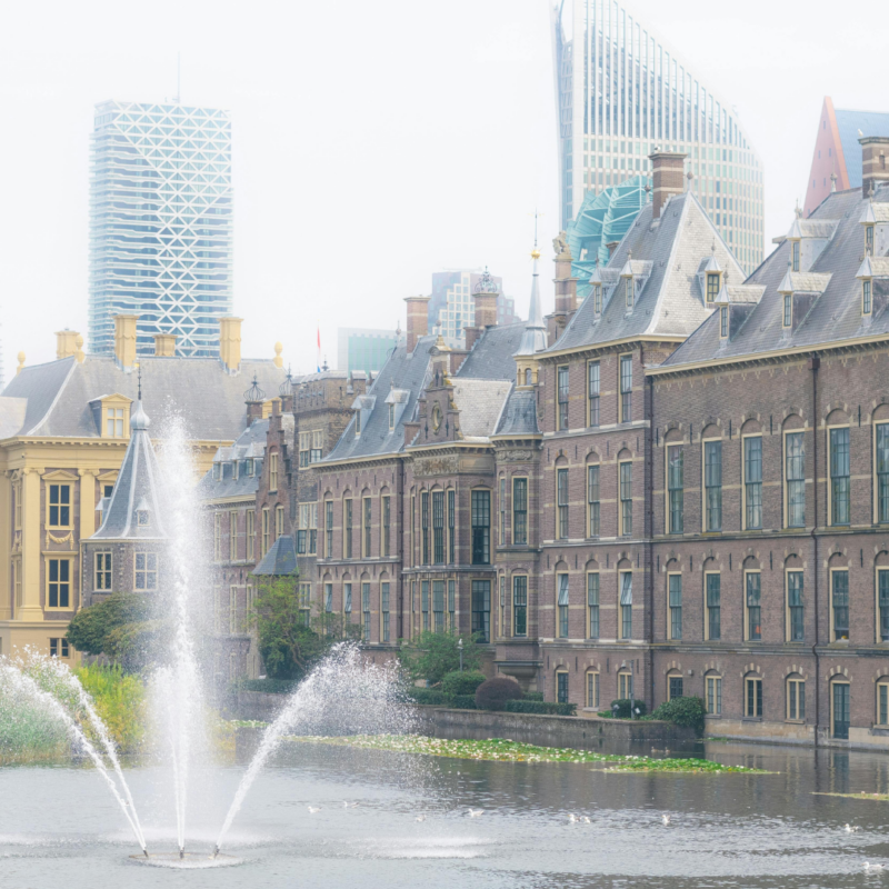 Pond Fountain Acts as a Ecosystem Booster