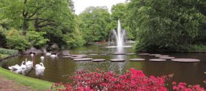 Pond and Fountain Maintenance