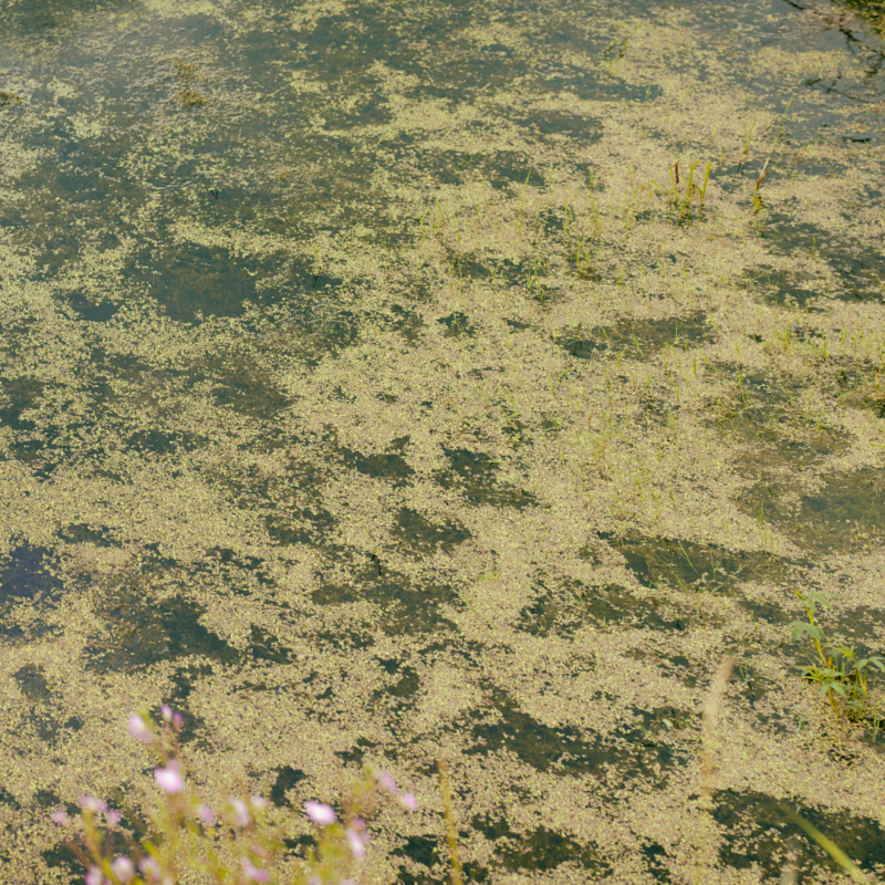 Pond Sludge Remover