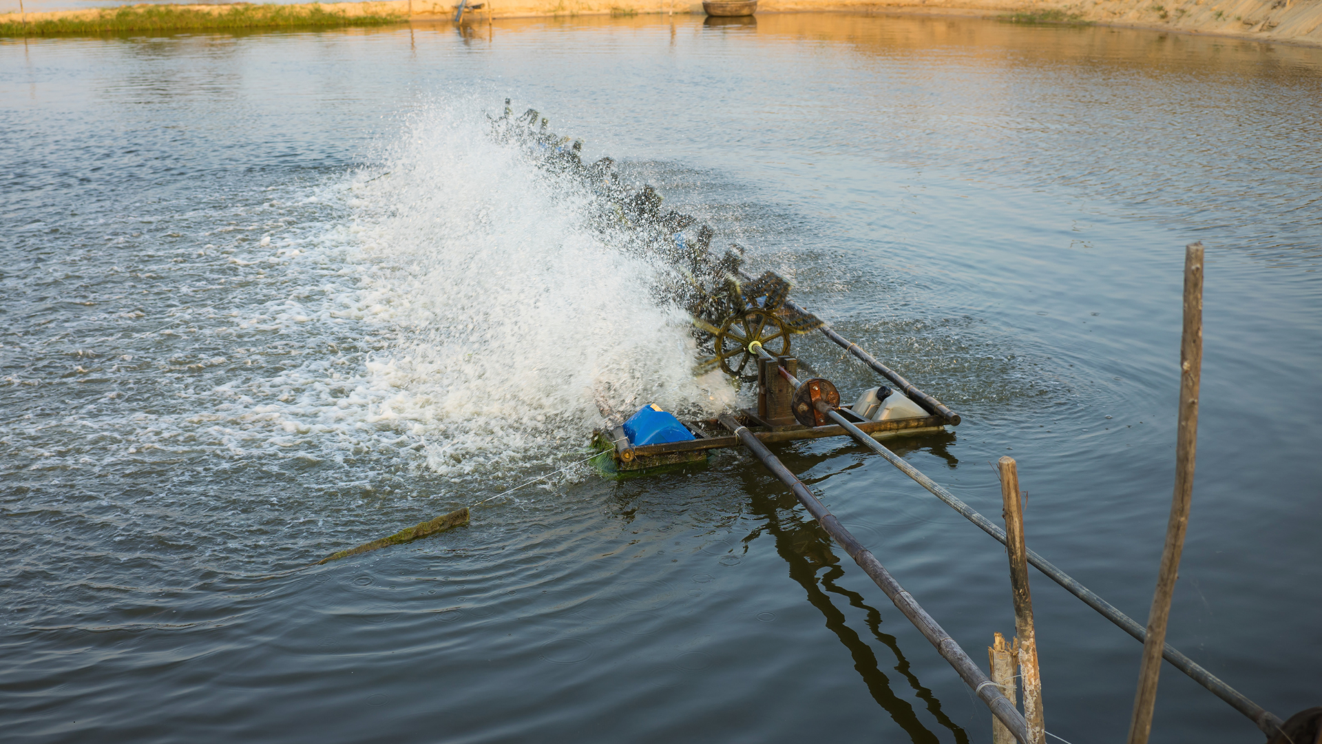 Pond Surface Aerators: Enhancing Water Quality and Circulation