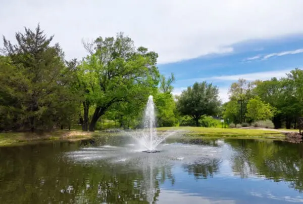 PondMedics Commercial Pond Management