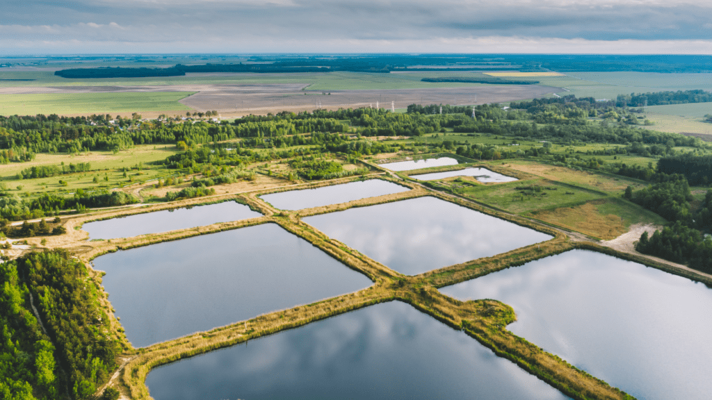 Retention pond mowing services