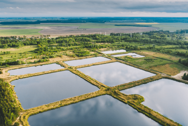 Retention pond mowing services