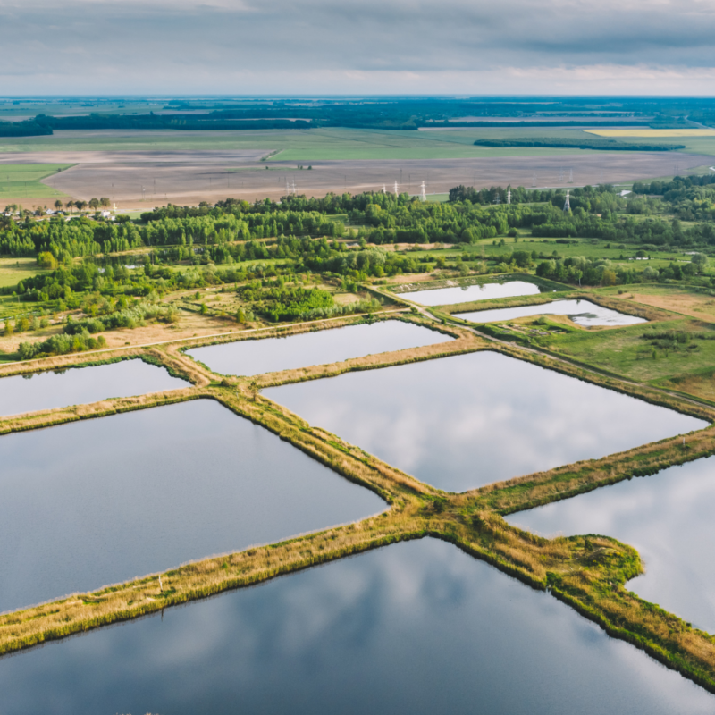 Retention pond mowing services