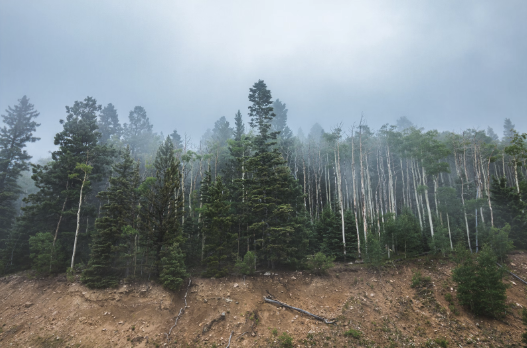 How to Fix Water Erosion for Sustainable Land Management