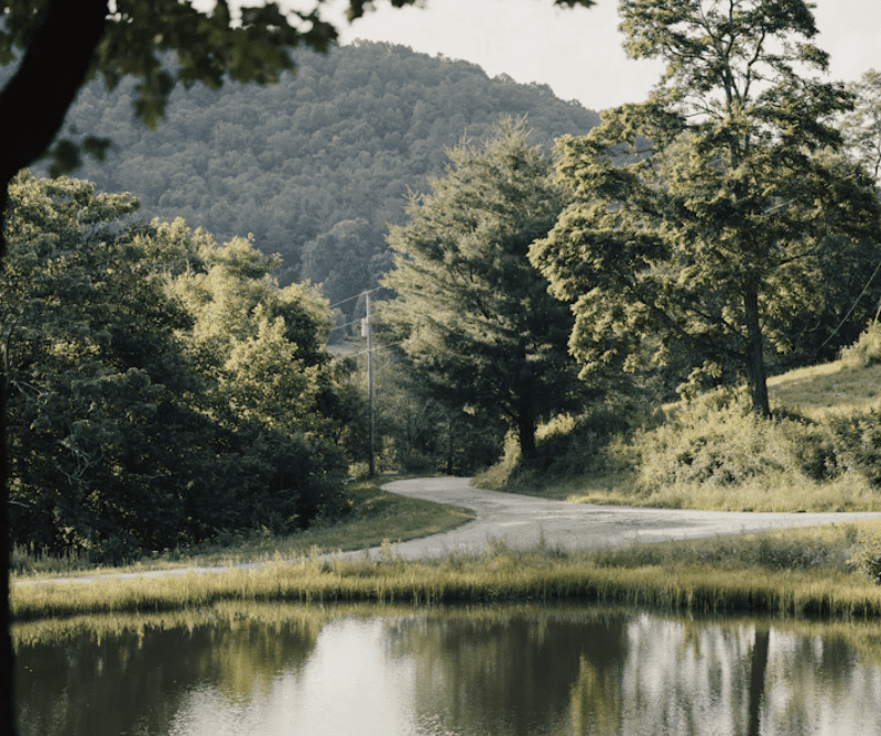 pond management services