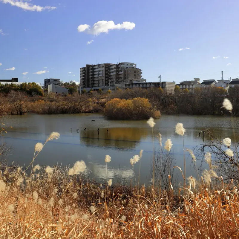 Retention pond