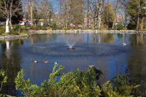 Pond fountain for aeration