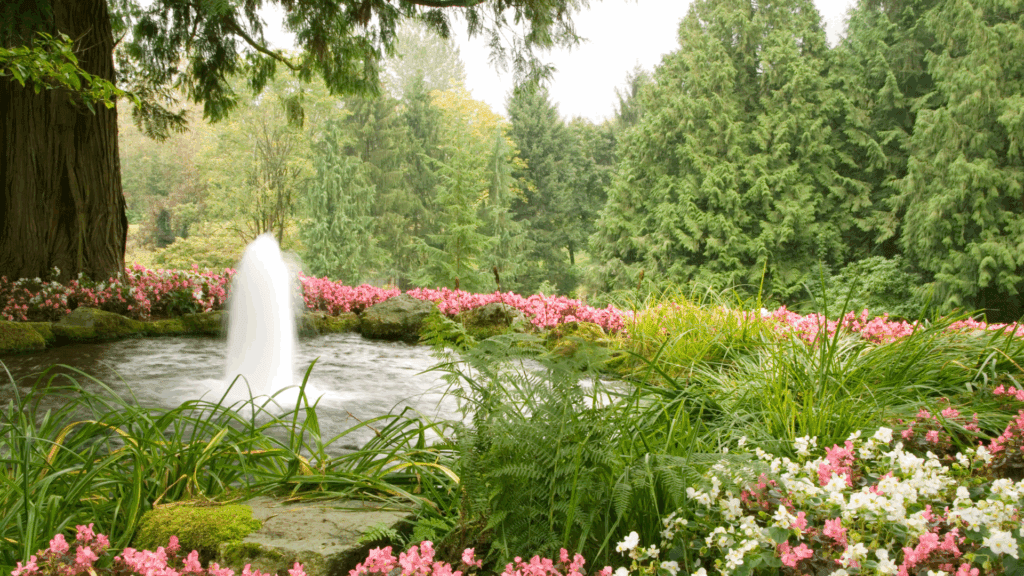 Unlocking Your Water Feature's Potential with Fountains for Pond