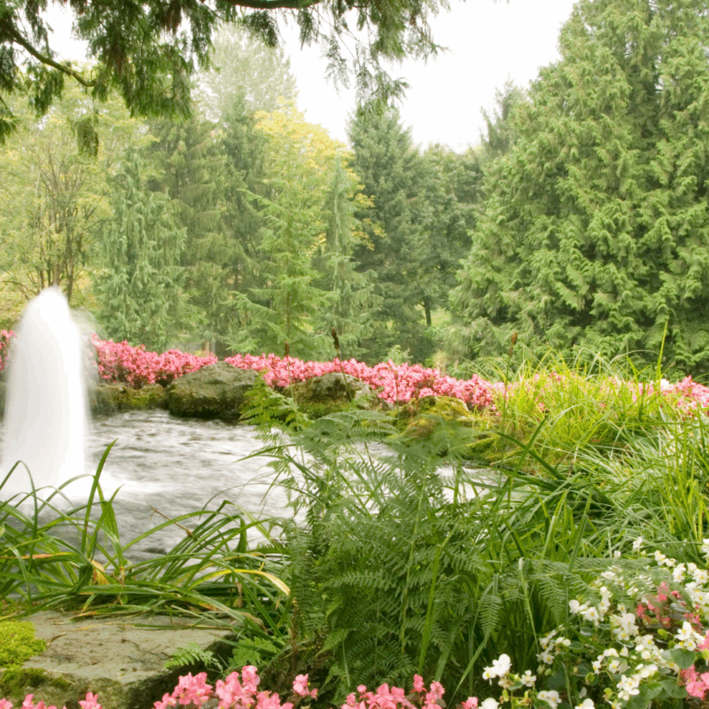 fountains for pond