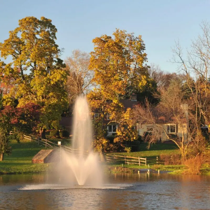pond water fountain