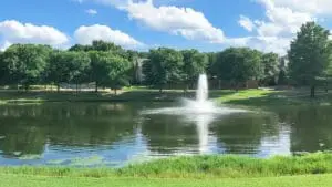 pond water fountain