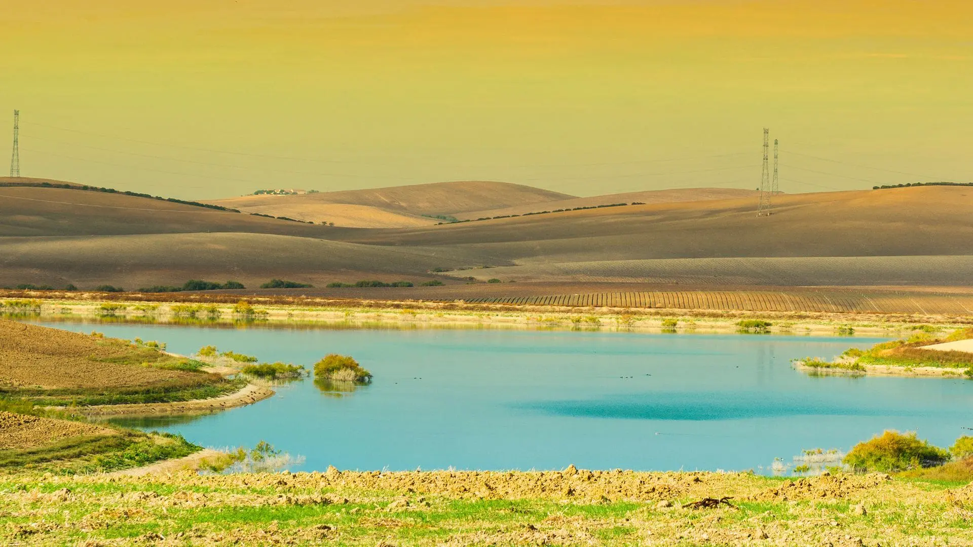 How Pond Irrigation Pump System Can Transform Your Landscape