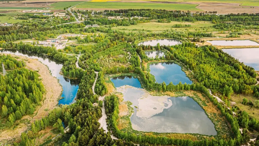pond management near me