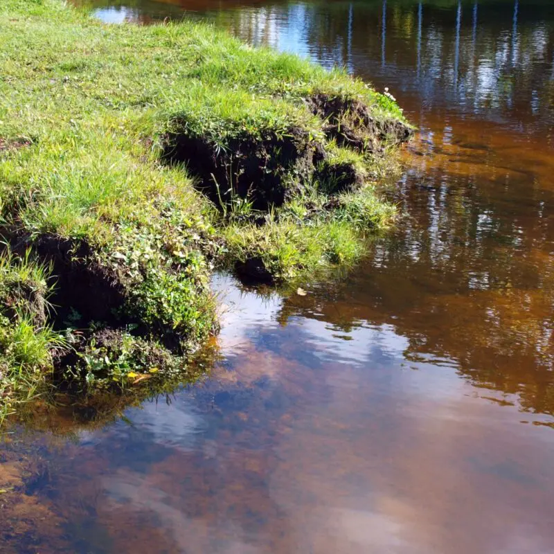 Pond Bank Stabilization