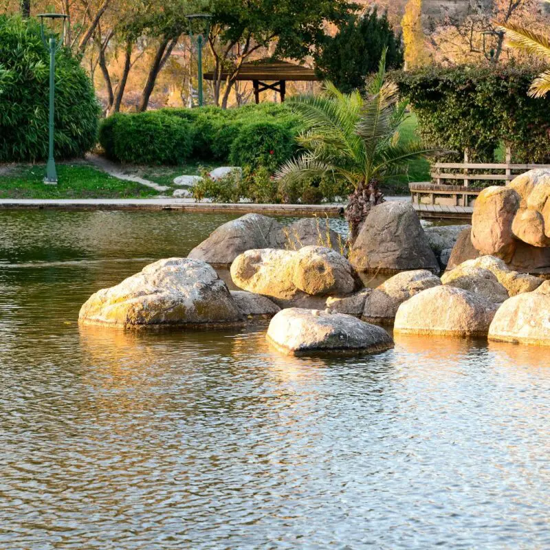 How to Stop a Leaky Pond