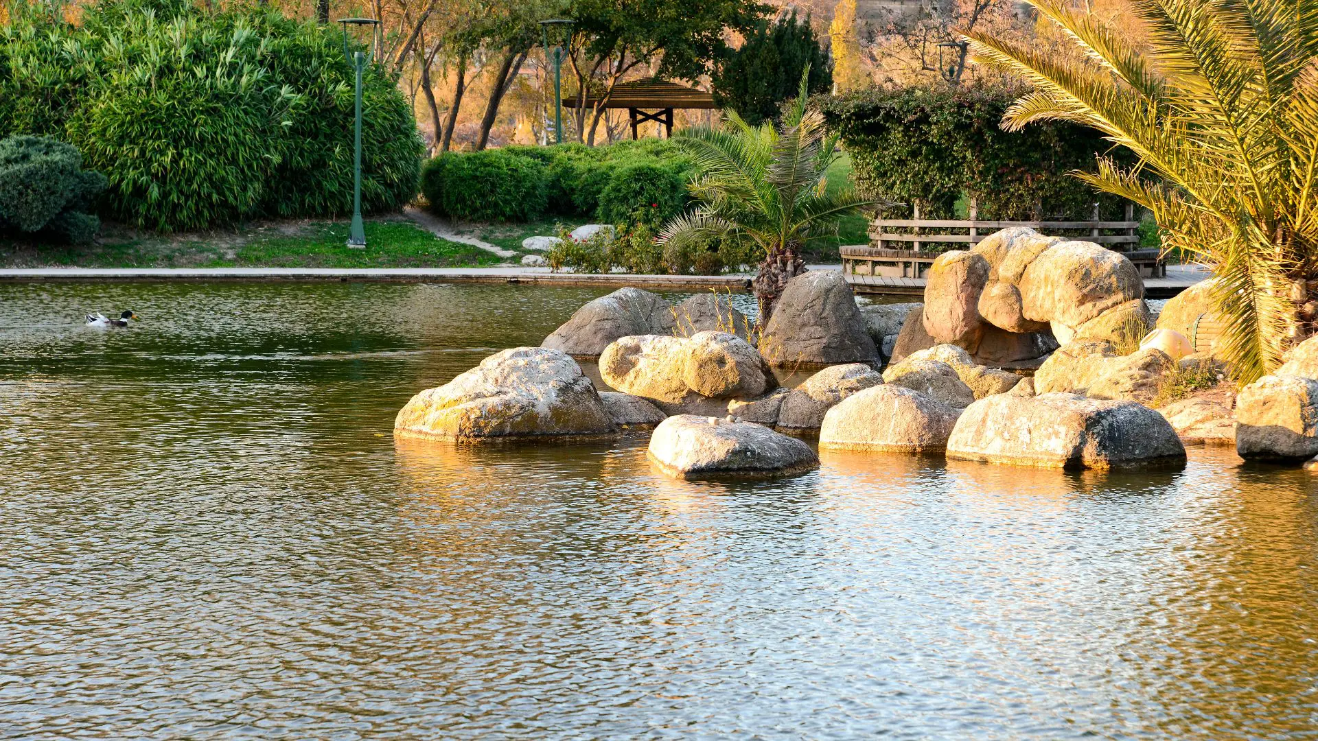 Preserve Your Water: How to Stop a Leaky Pond