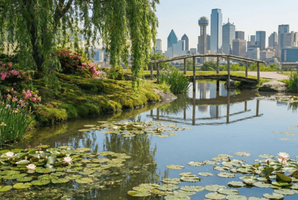 Pond sediment removal service Dallas