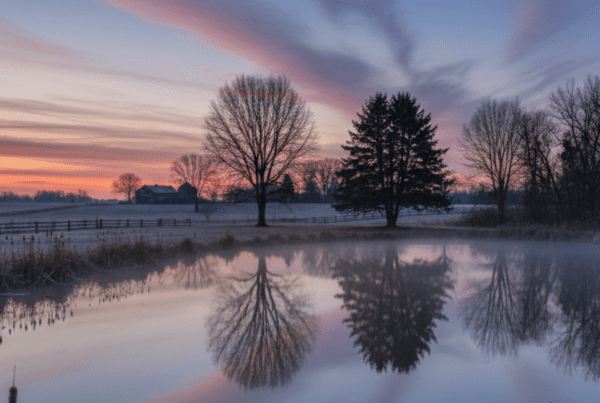 Aquatic plant control guide