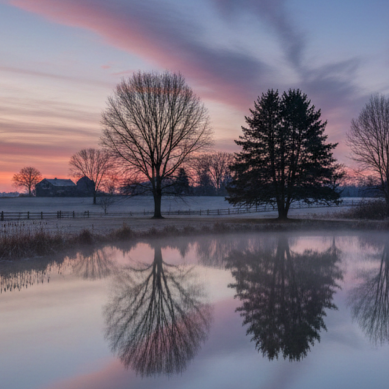 Aquatic plant control guide